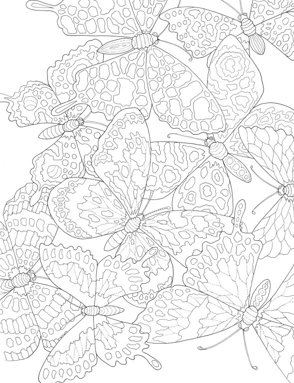 Garden Wonders Colouring Book