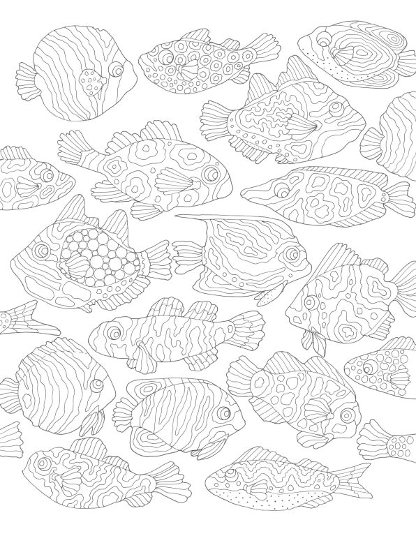 Ocean Wonders A Sea-Life Colouring Book