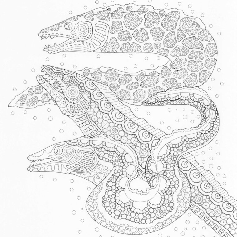 Ocean Wonders A Sea-Life Colouring Book