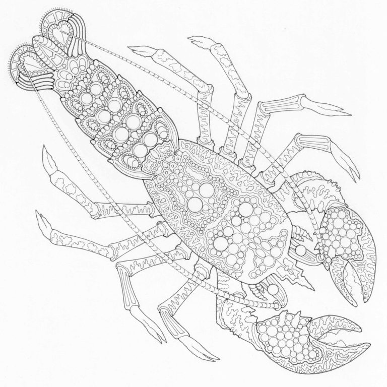 Ocean Wonders A Sea-Life Colouring Book